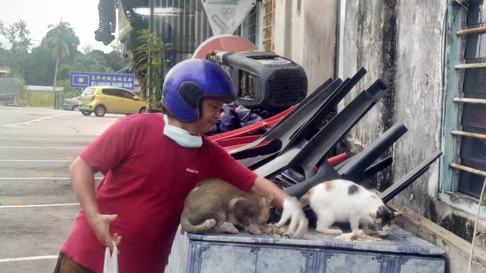MULA 7 PAGI KELUAR CARI KUCING TERBIAR