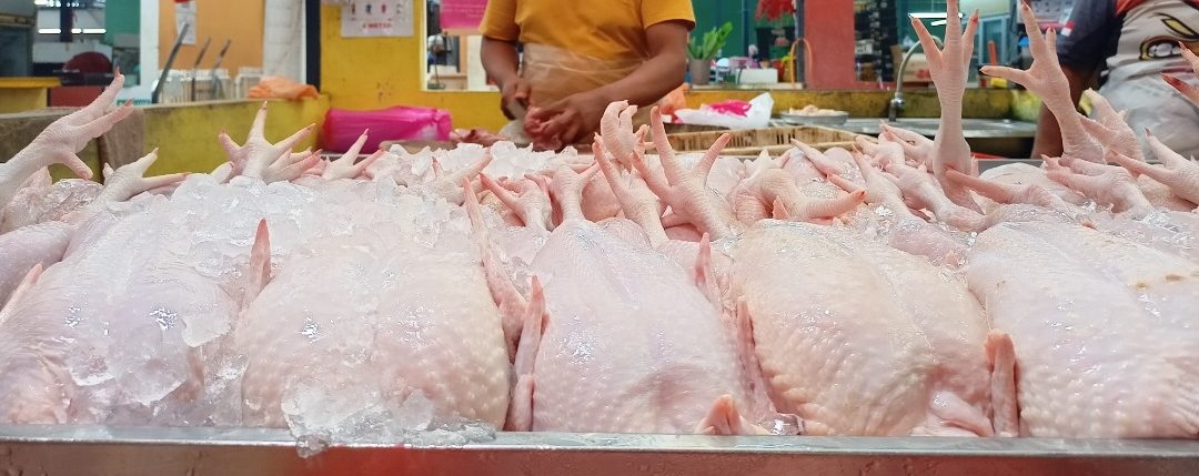 Industri jamin harga ayam tidak naik mendadak
