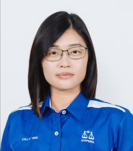 Potong gaji jika jadi PM hanya omong kosong Anwar - Cally Ting
