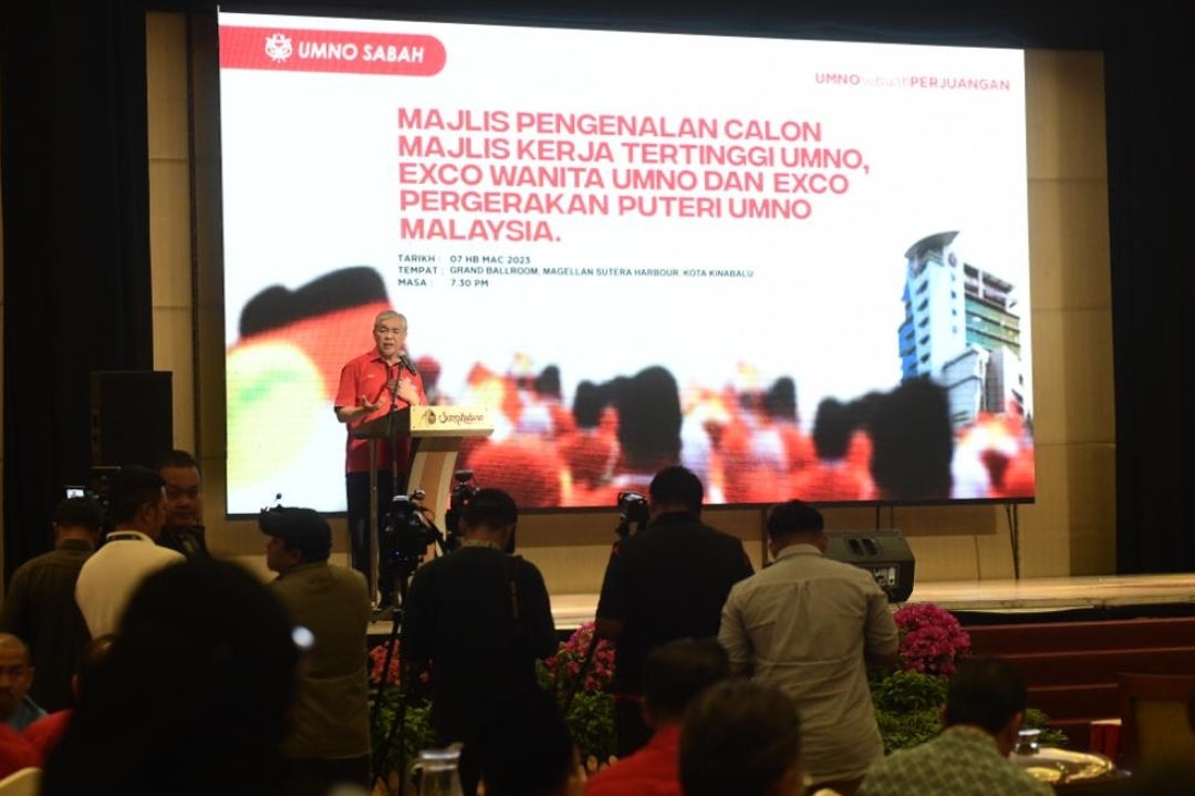 Calon pemilihan UMNO usah terpengaruh dengan kumpulan cuba gugat kerajaan